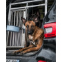 Cage De Transport Chien Double avec Séparation CAG-005 - Cage chien, Cage chien XXL, Cage de transport chien