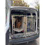 Cage De Transport Chien Double avec Séparation CAG-005 - Cage chien, Cage chien XXL, Cage de transport chien