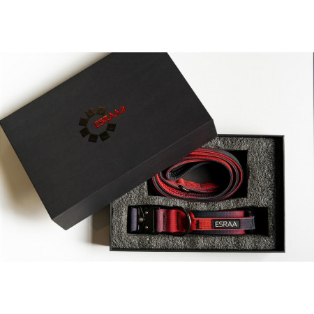 Ensemble Collier Laisse Tactique K9 ESRAA