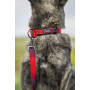 Ensemble Collier Laisse Tactique K9 ESRAA
