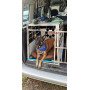 Cage Transport Chien SIMPLE / CAG-003 - Cage chien XXL, Cage chien interieur, Cage chien voiture, Cage a chien