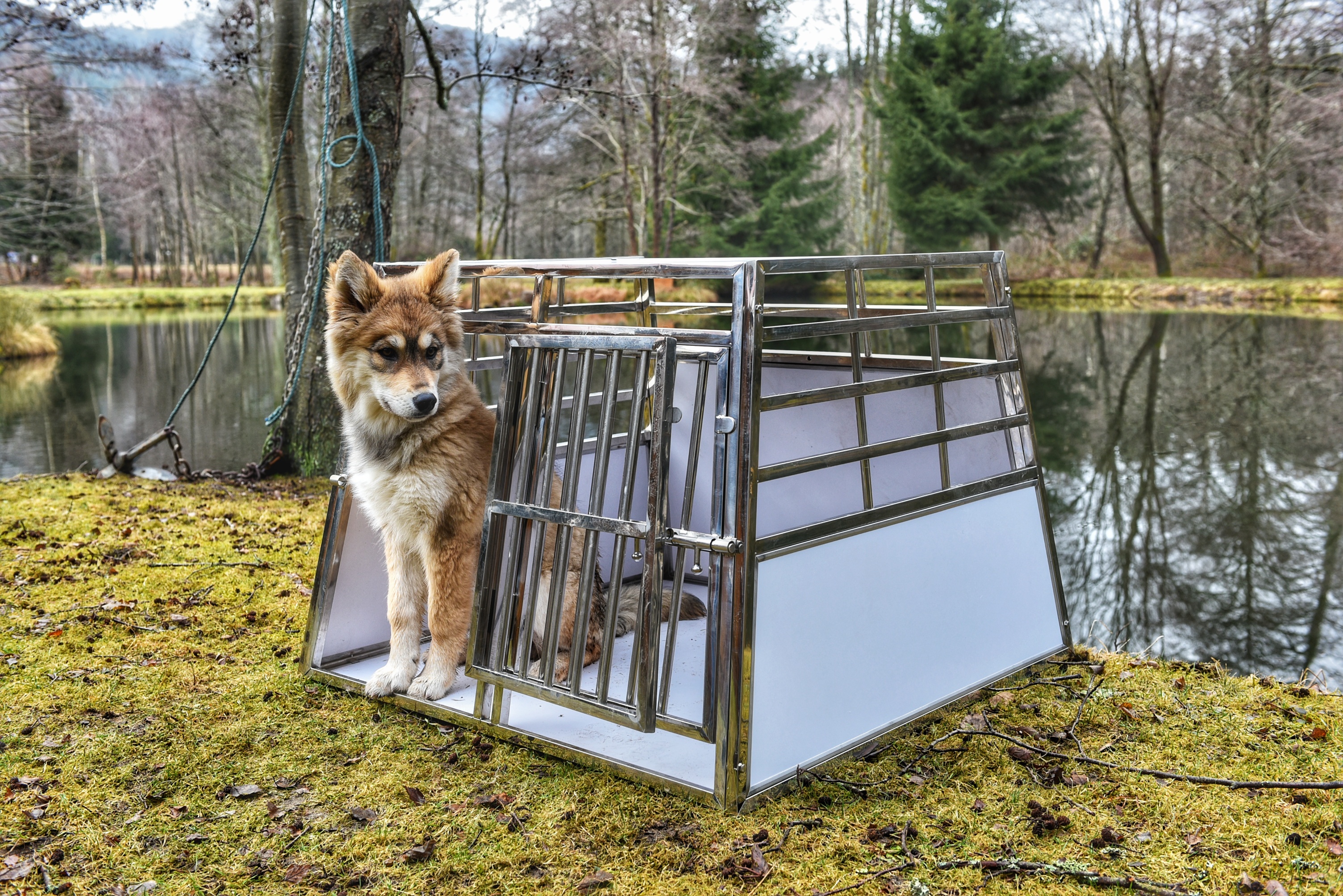 Cage Transport Chien DOUBLE / CAG-005
