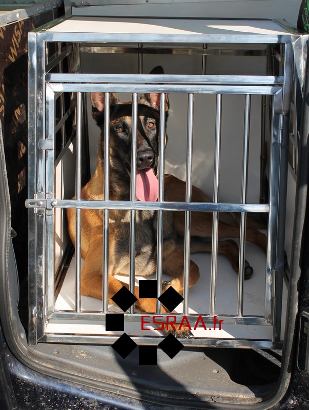 Cage Transport Chien SIMPLE / CAG-003 - Cage chien XXL, Cage chien