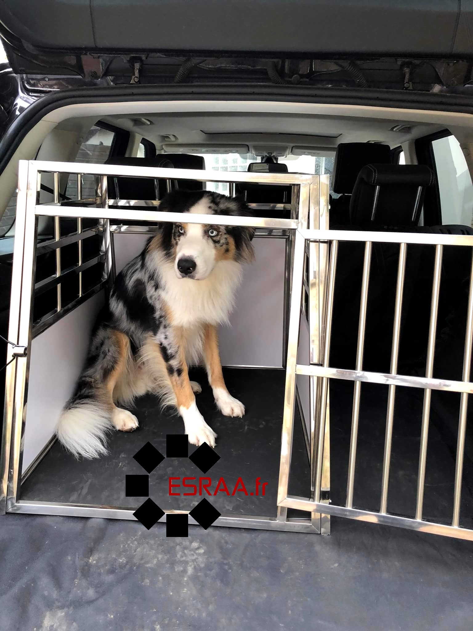 Les cages de transport ESRAA pour chiens