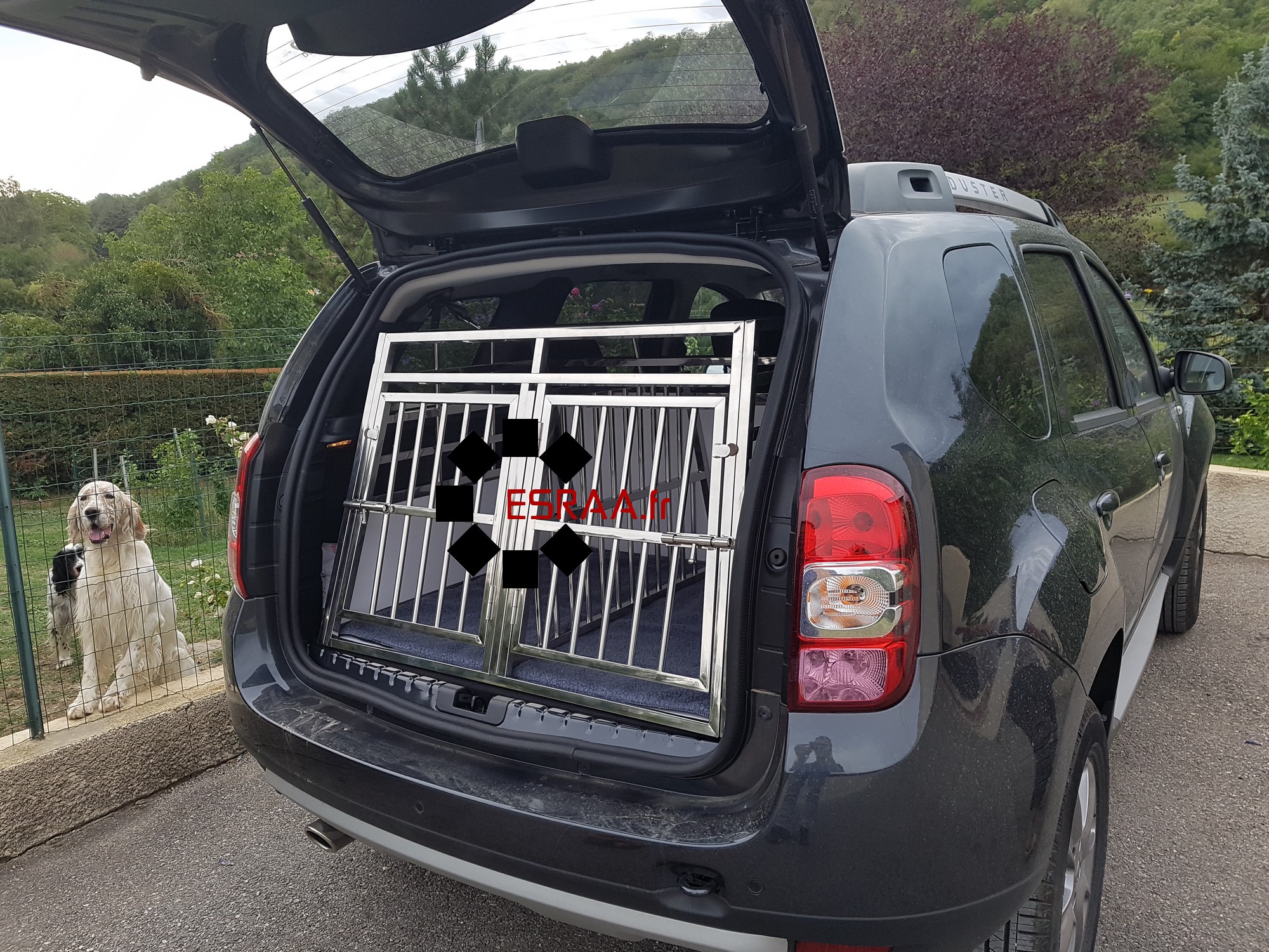 Cage De Transport Chien Double avec Séparation CAG-001 - Cage chien, Cage  chien XXL, Cage de transport chien, Cage transport chi